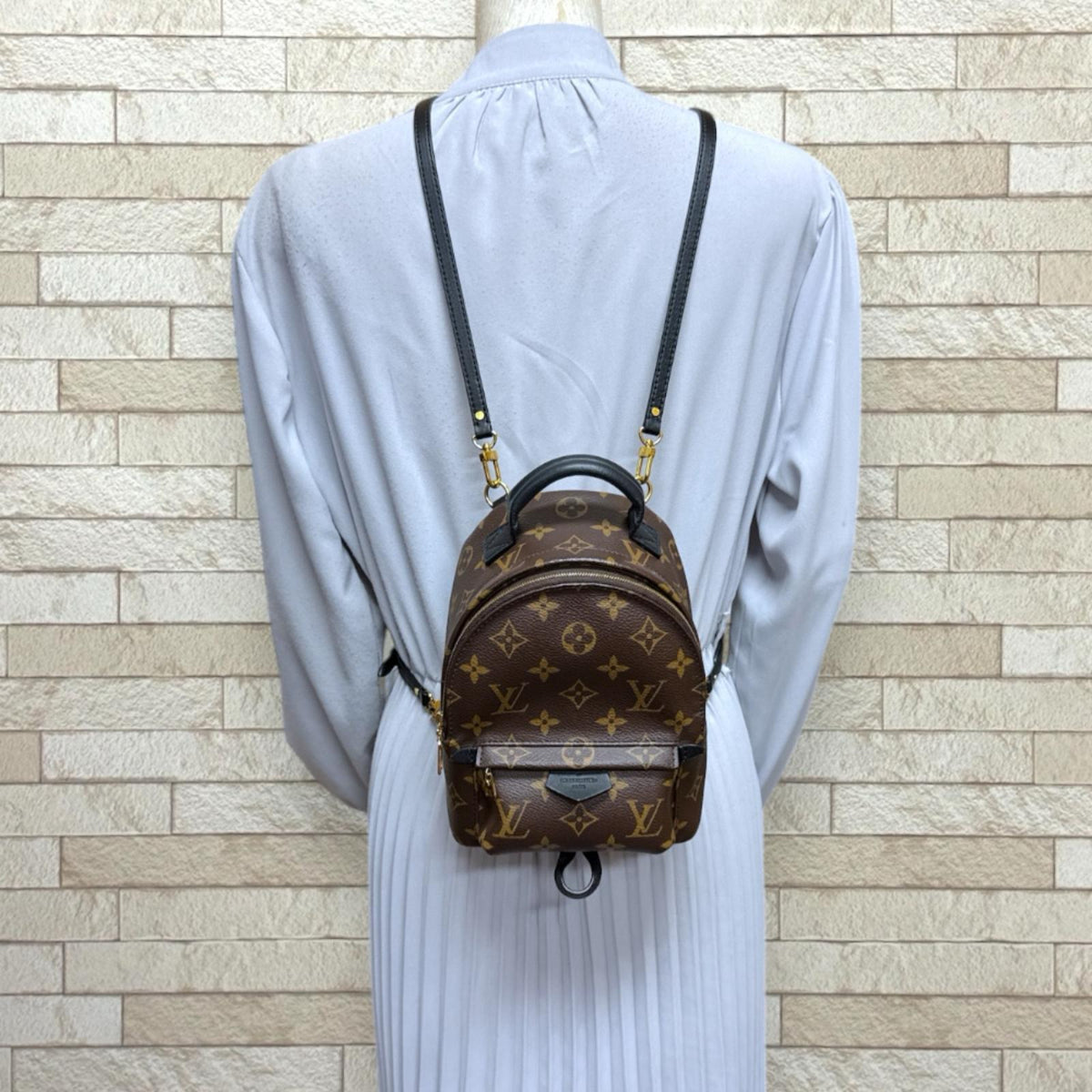 LOUIS VUITTON ルイヴィトン パームスプリングスMINI モノグラム