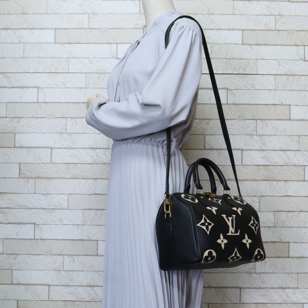 LOUIS VUITTON Louis Vuitton Speedy 25 Bandriere Bicolor Monograph