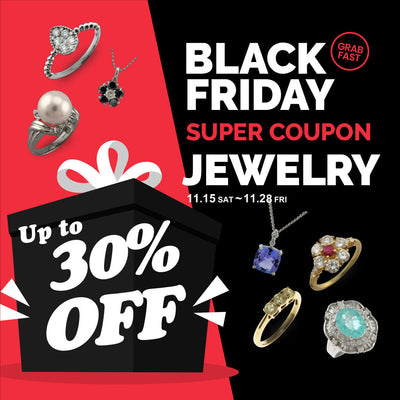 【終了しました】2025 BLACK FRIDAY 最大30%OFFクーポンキャンペーン