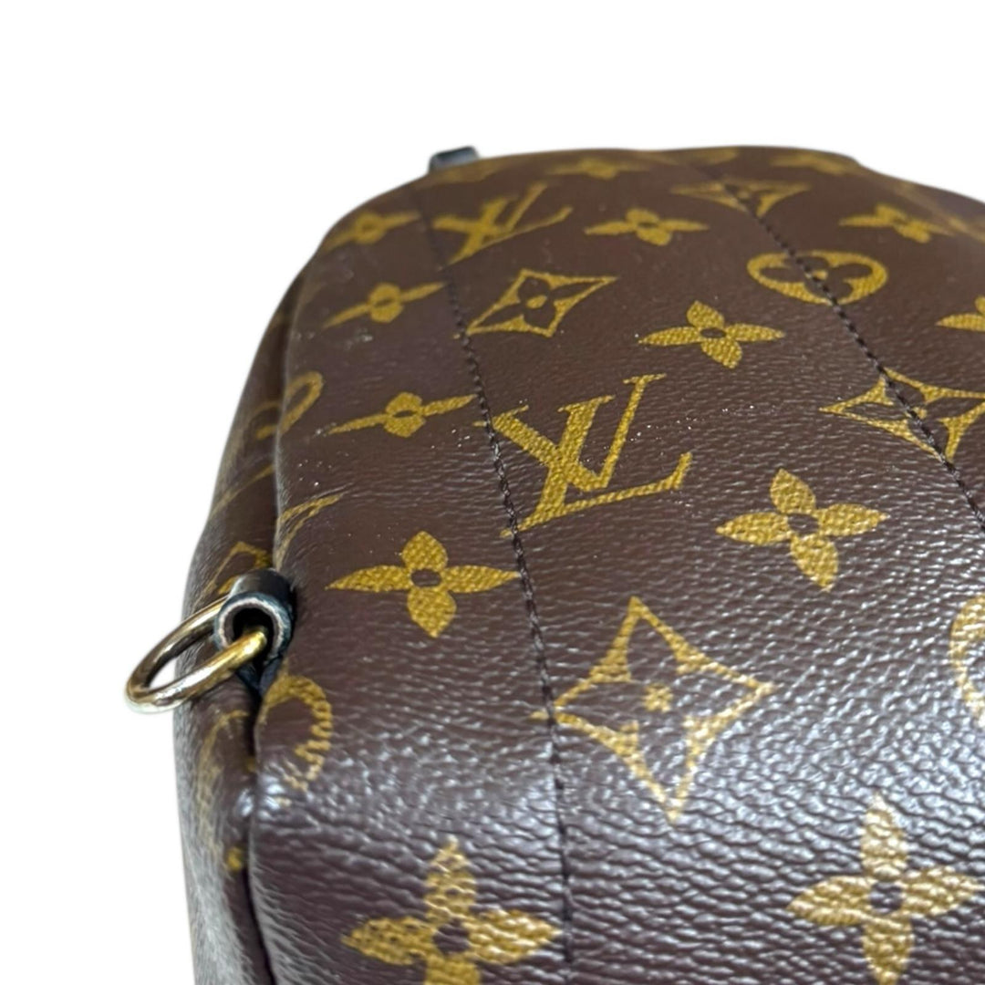 LOUIS VUITTON ルイヴィトン パームスプリングスMINI モノグラム