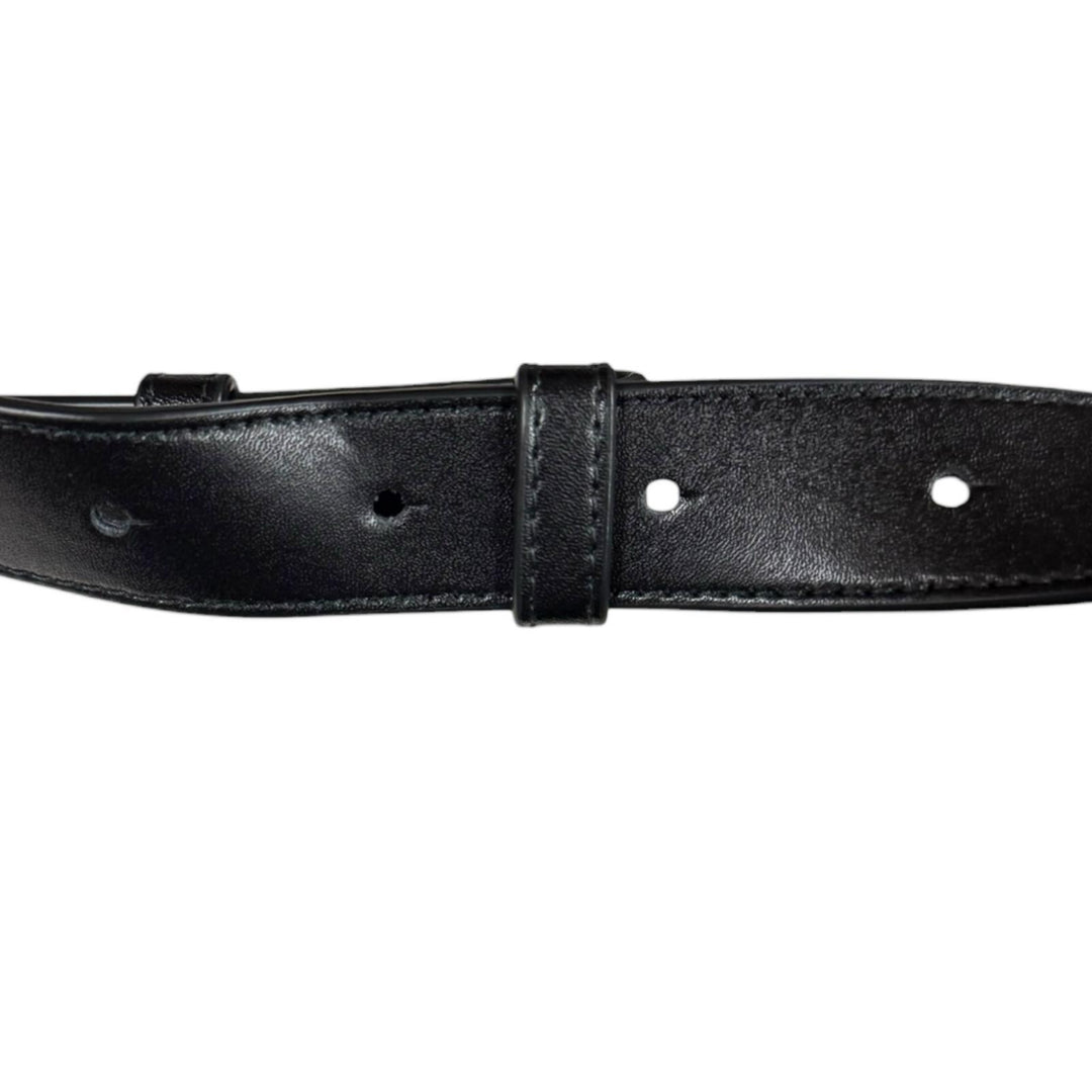 BOTTEGAVENETA ボッテガヴェネタ カセットベルトバッグミニ マキシ