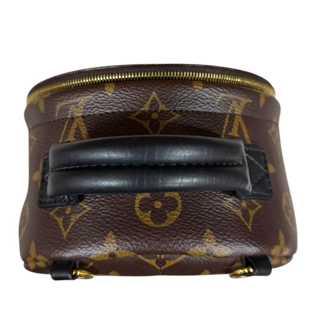 LOUIS VUITTON ルイヴィトン パームスプリングスMINI モノグラム