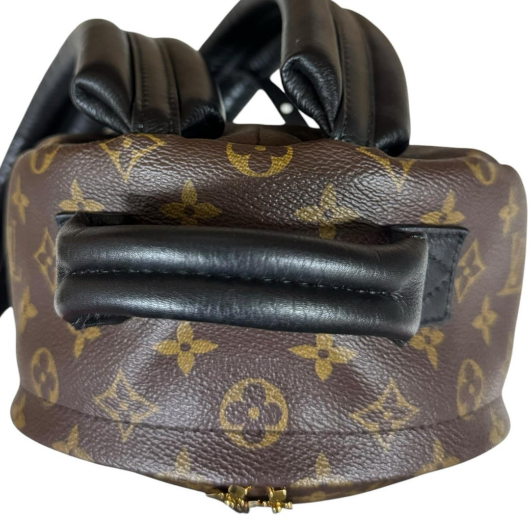 LOUIS VUITTON ルイヴィトン パームスプリングスPM モノグラムリバース