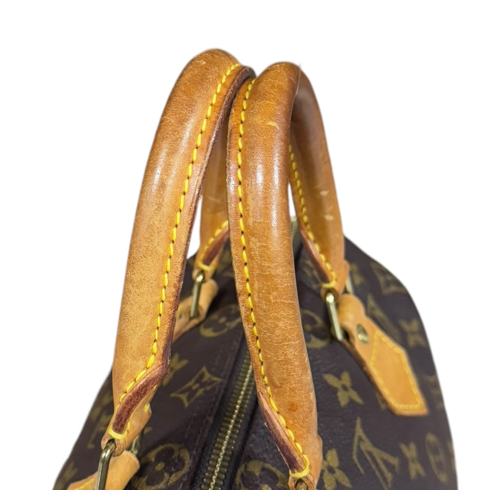 LOUIS VUITTON Louis Vuitton Speedy 25 Monogram Handbag Monogram