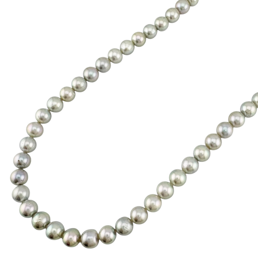 美品 ✨TASAKI タサキ アコヤ真珠 ベビーパール ネックレス シルバー TASAKI タサキ ネックレス シルバー アコヤパール レディース 中古