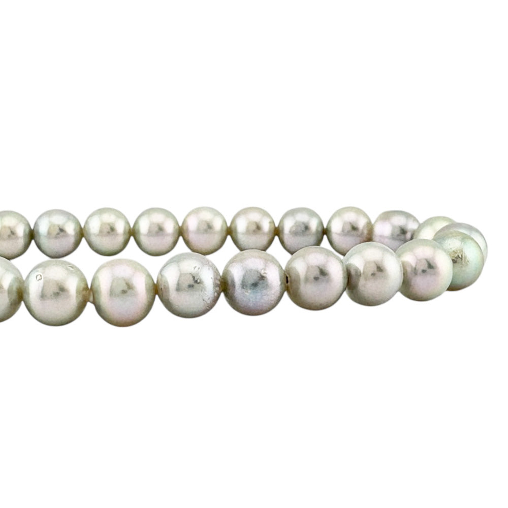 TASAKI タサキ ネックレス シルバー アコヤパール レディース