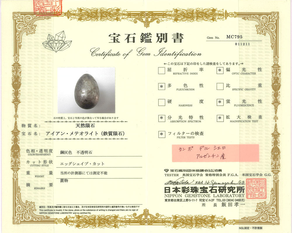 中古】 インテリアその他 アイアン・メテオライト カンポ・デル