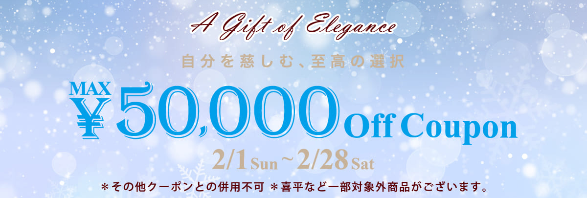 HERMES エルメス ポロション1925 ハンドバッグ スイフト パープル